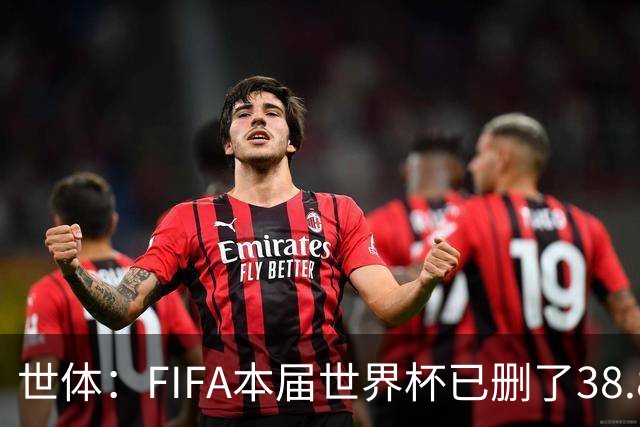 世体：FIFA本届世界杯已删了38.8万条辱骂信息，超过上届全程总数
