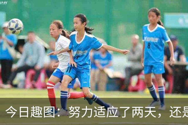 今日趣图：努力适应了两天，还是适应不了补水时间放广告……