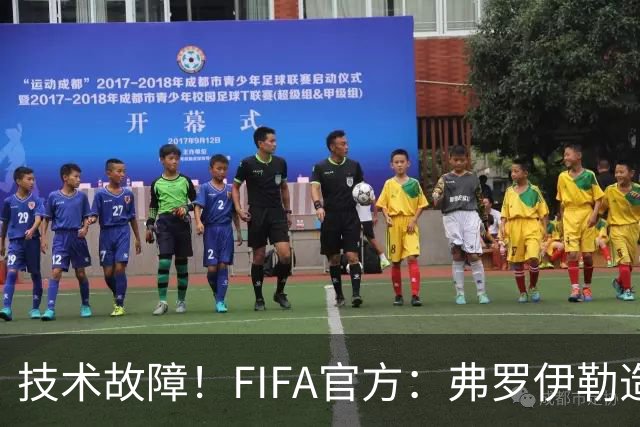技术故障！FIFA官方：弗罗伊勒造点没有越位 瑞士进球无异议