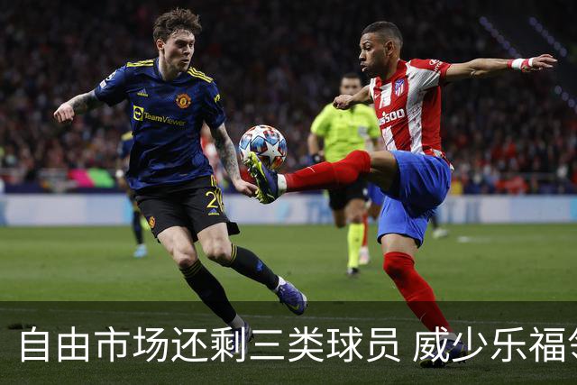 自由市场还剩三类球员 威少乐福领衔失业大军？